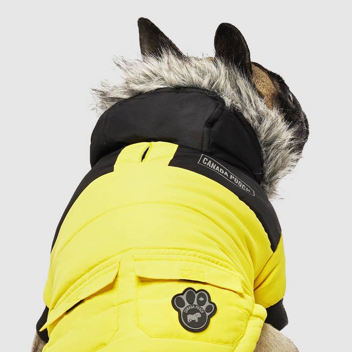 Canada Pooch - Wholesale Pet Coat - Dog - True North Dog Parka8