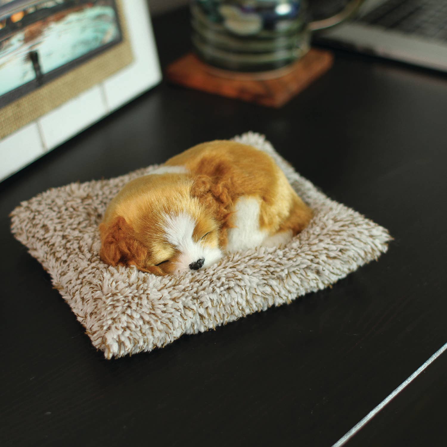 88Unlimited/Perfect Petzzz - Wholesale Stuffed/Plush Toy - Kids & Baby - Mini 05 - Beagle2