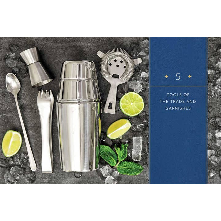 HarperCollins Focus - Wholesale Mixology & Beverage - The Martini Field Guide4