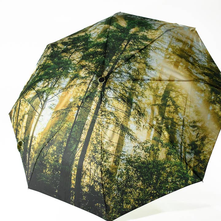Bird&Fish, Co. - Wholesale Umbrella – Unisex - Redwoods Umbrella - ALMOST SOLD OUT!2