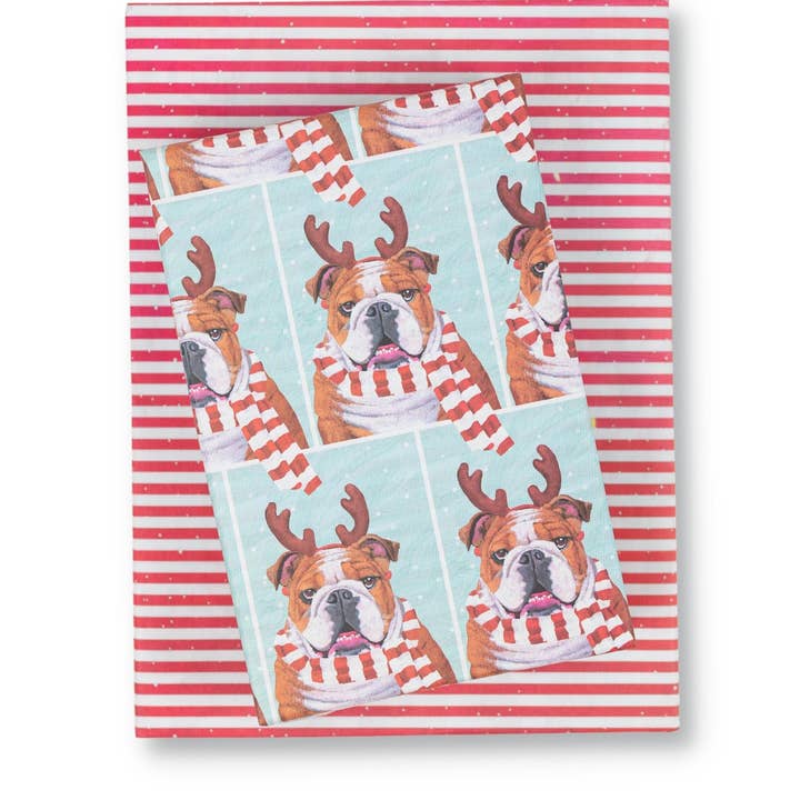 Hyggelig Bulldog • Dobbeltsidet Eco-indpakningspapir for engroshandel hos Wrappily Eco Gift Wrap Co.