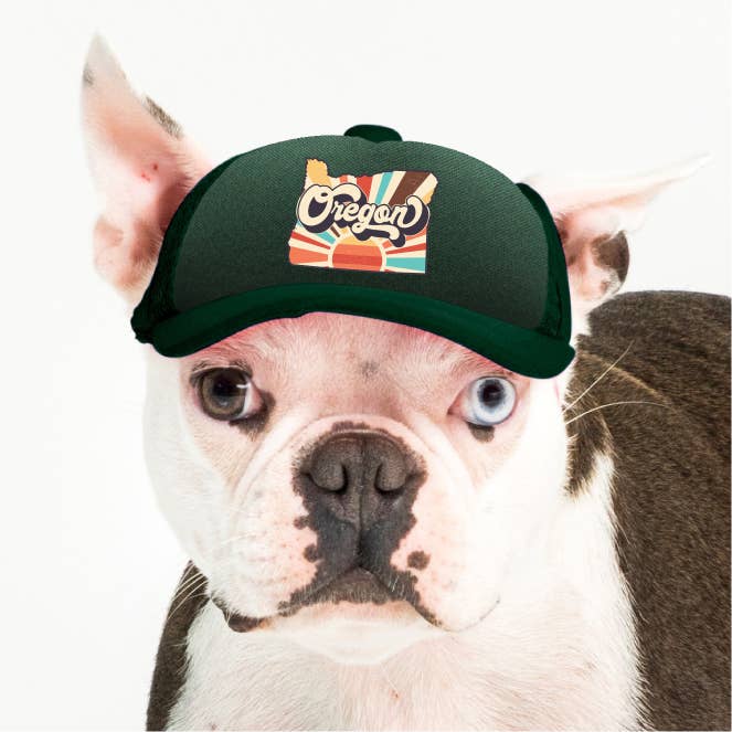 PupLid - Vendita all'ingrosso Cappello - Cani - Vintage State | Cappellino trucker per cani55