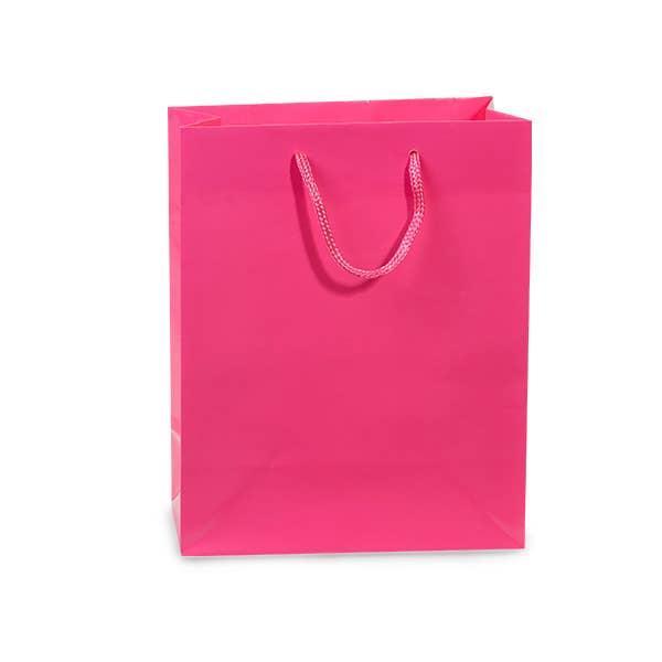 Nashville Wraps - Wholesale Gift Bag - Gloss Paper Rope Handle Gift Bags38