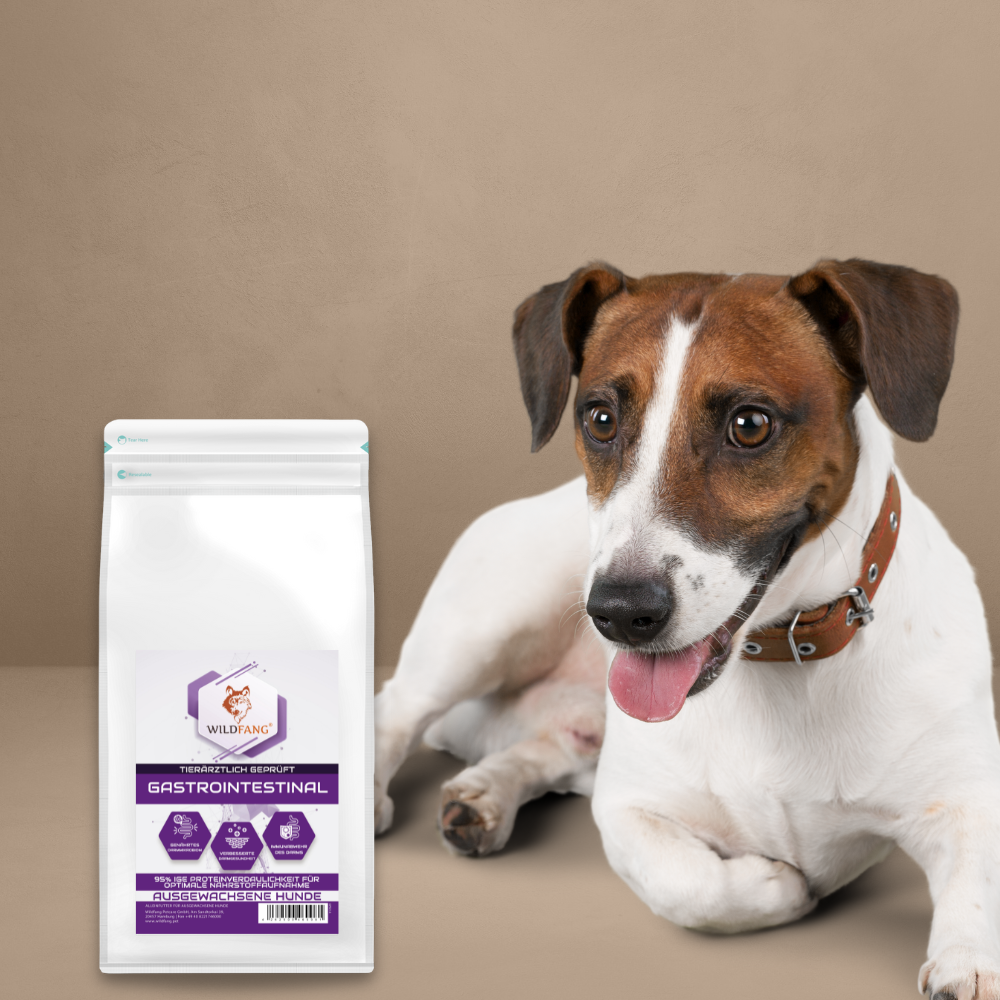 WILDFANG - Vente Nourriture – chien - VetLine croquettes avec peptides pour chiens - Gastro-intestinal8