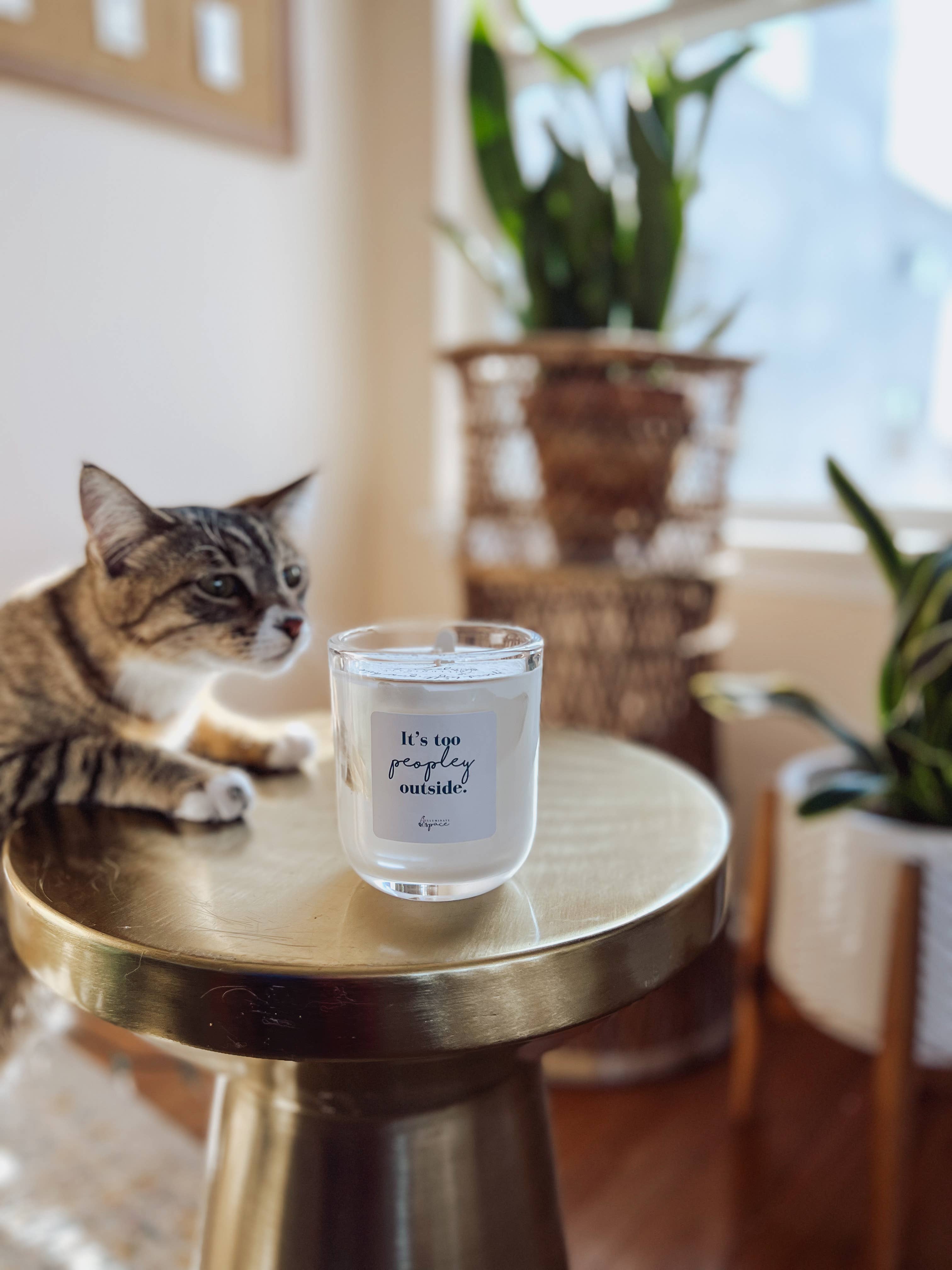 Illuminate Space - Wholesale Jar/Filled Candle - It's too peopley outside Soy Candle, Large1