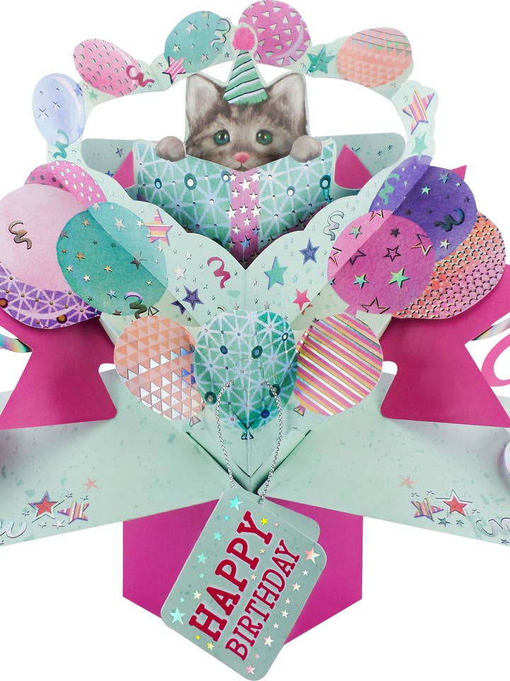 Biglietto di auguri pop-up per compleanno con gatto - Second Nature per la vendita all'ingrosso da parte di Second Nature Ltd