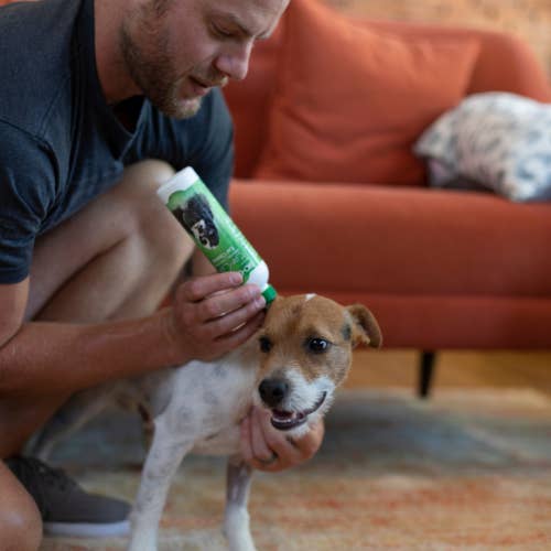 Petdropshipper - Wholesale Pet Cleaning Supplies - Bio Groom Ear Care NonOily NonSticky Ear Cleaner 1ea-4 oz