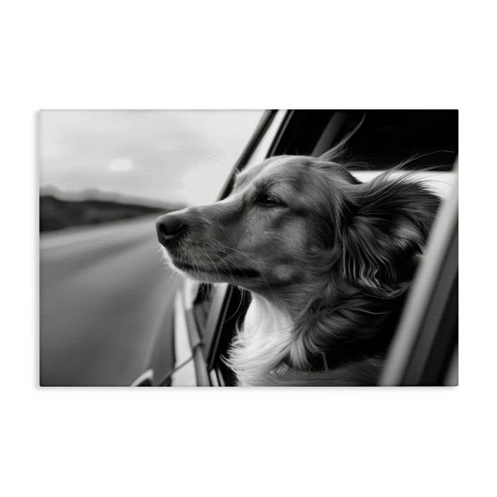 Stupell Industries - Wholesale Wall Sign - Dog Out Car Window - Unframed Wall Art8