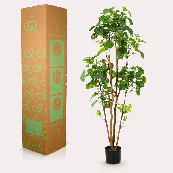 Oasis of Life - Wholesale Artificial Plant - Artificial Plant Polyscias – Aralia – 160cm – High-quality artificial indoor tree with many lifelike leaves – Evergreen decorative plant for living room, office & interiors – Maintenance-free & durable3