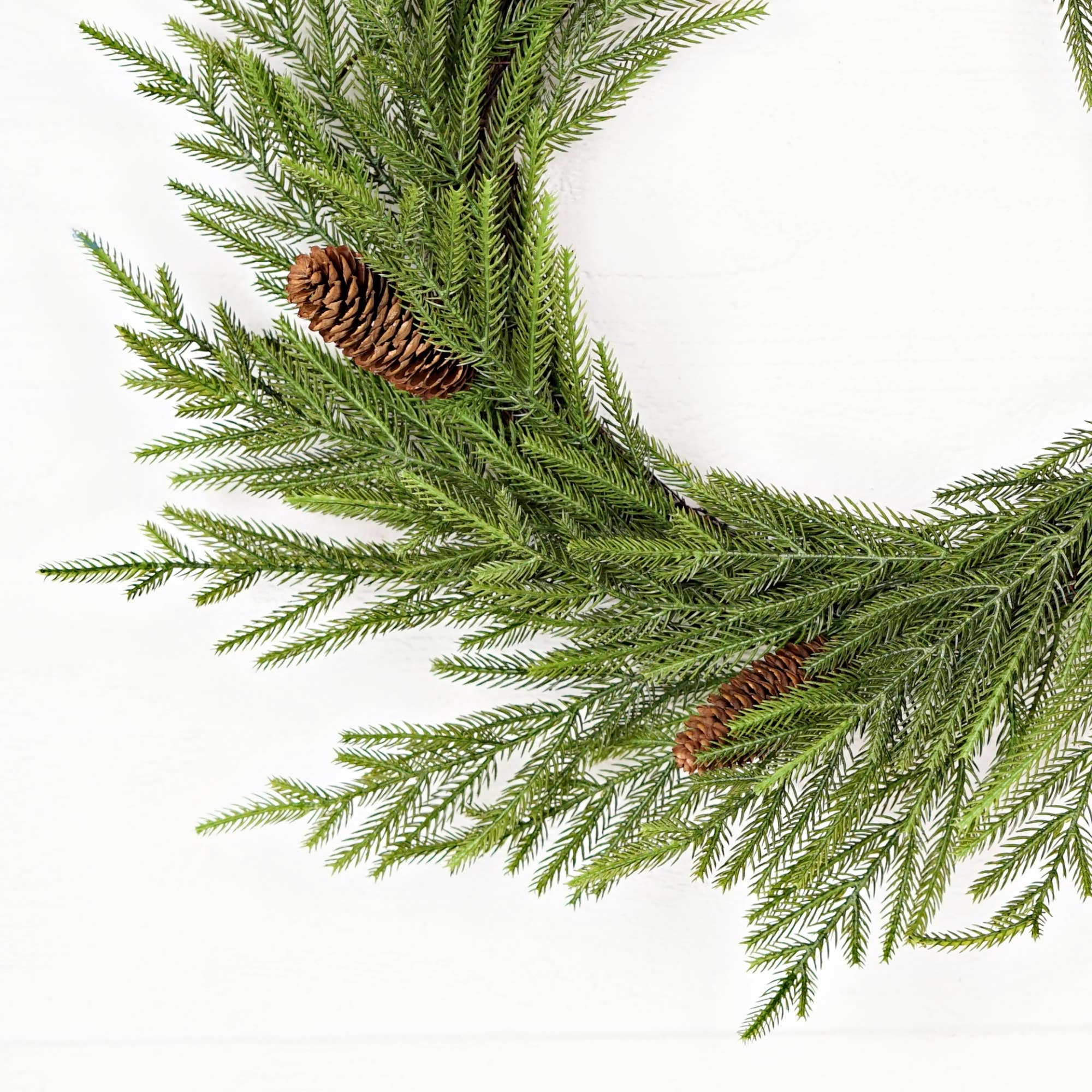Holiday Depot Inc. - Wholesale Wreath - 510070- 24in(12)Twig Wreath-Evergreen Norfolk Pine w.Long Pi1