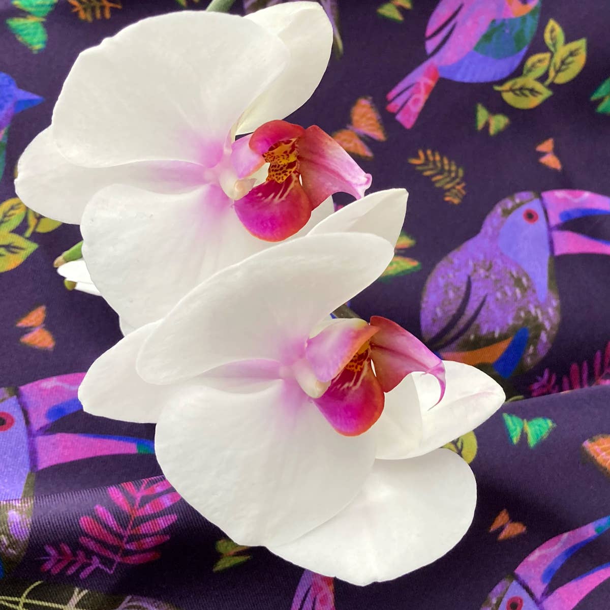 Bonito Mundo - Wholesale Scarf - Women's - Paradise - Natural silk scarf2