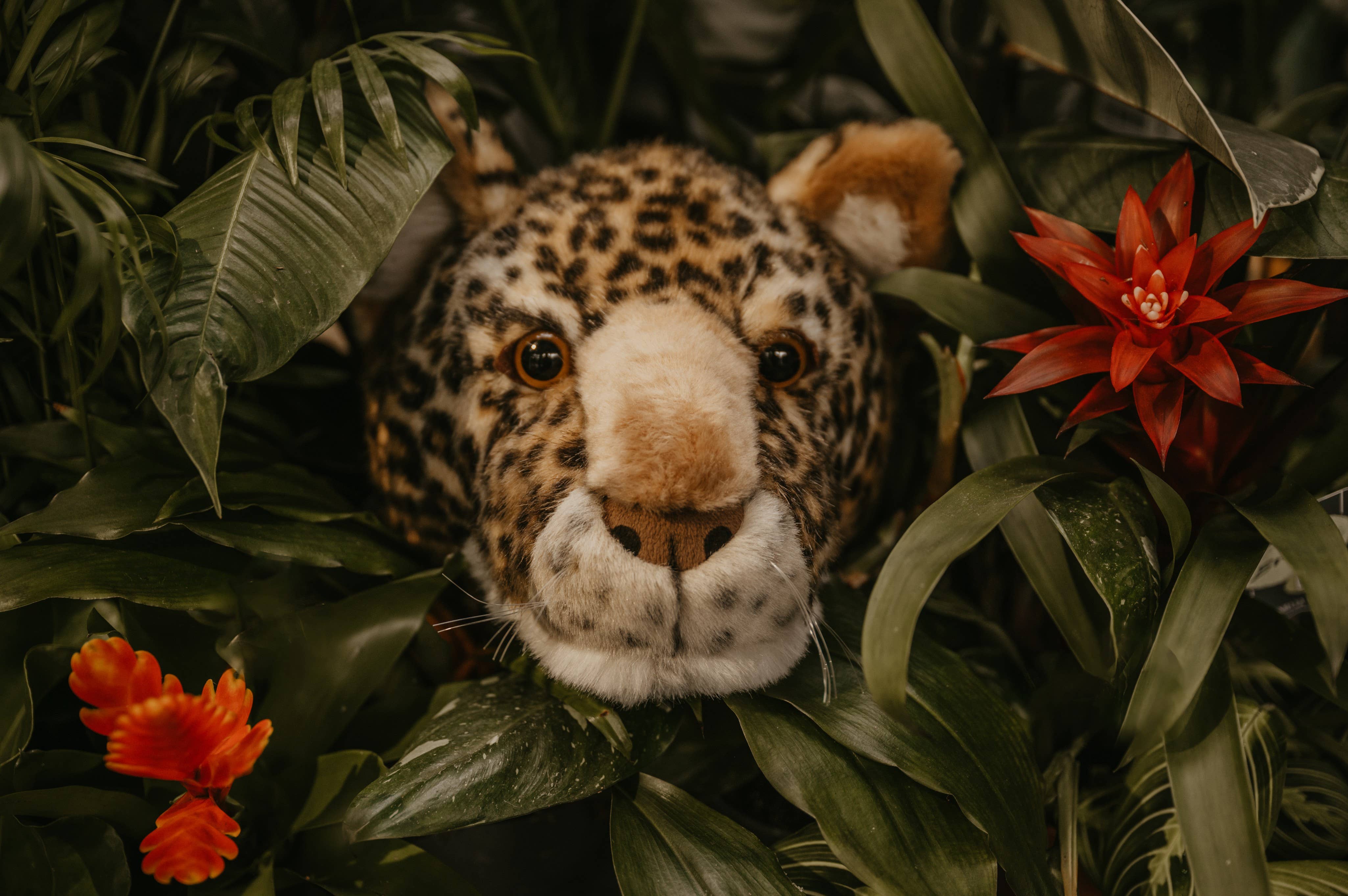 WILD & SOFT – Großhandel 3D-Wandkunst – Charlie der Leopard: Wanddekoration – Mittlerer Kopf1