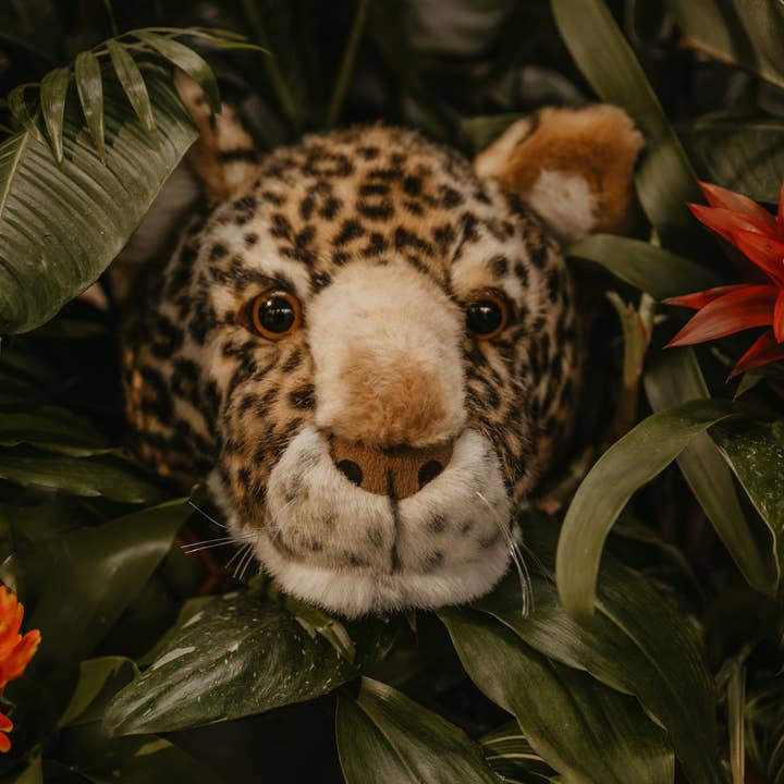 WILD & SOFT – Großhandel 3D-Wandkunst – Charlie der Leopard: Wanddekoration – Mittlerer Kopf1