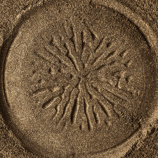 DIRTEA – wholesale Protein/superfood powder – Lion's Mane Mushroom Powder Pouch (240g)5