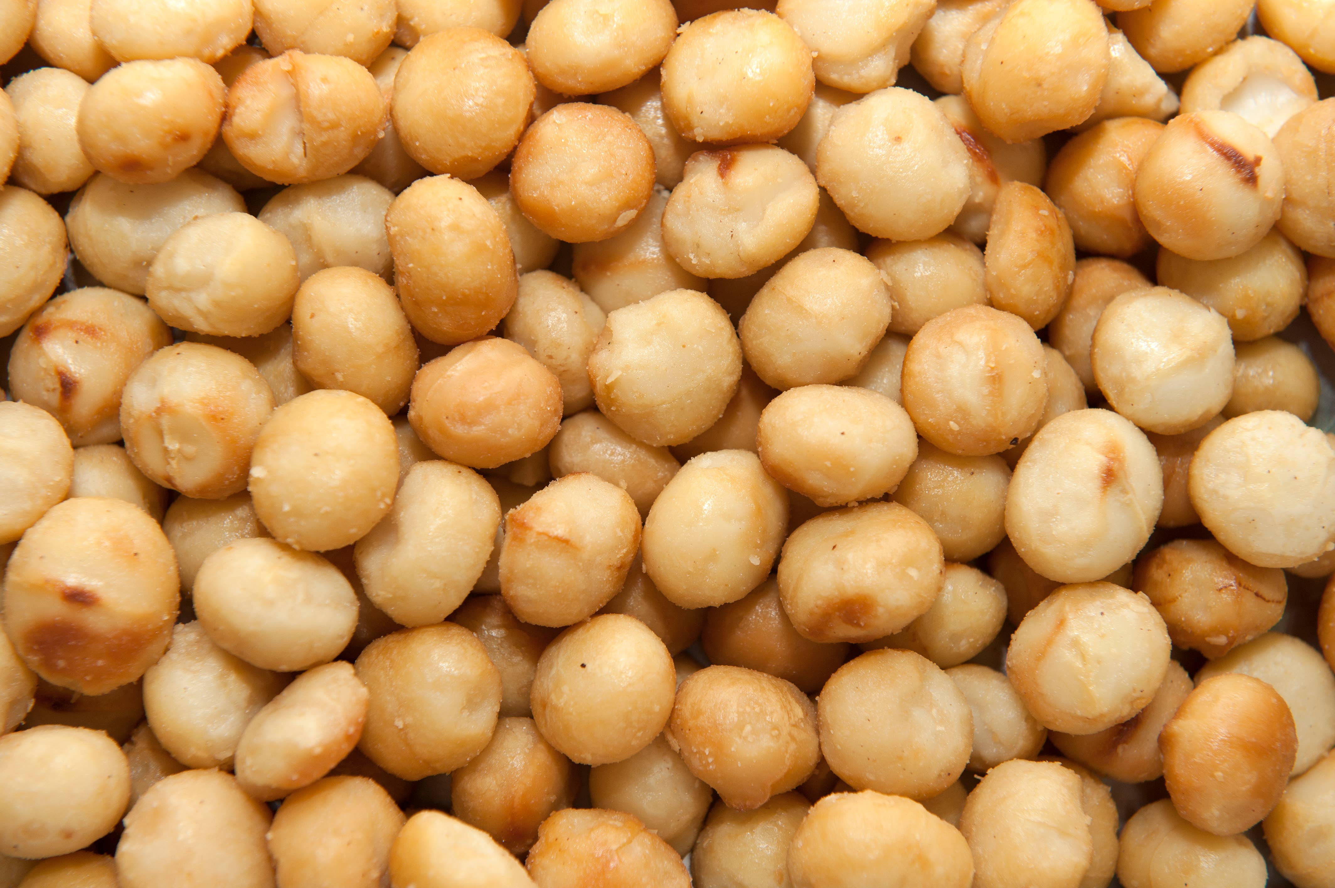 Les Garrigues - Wholesale Nuts - Salted Macadamia 1 Kg0