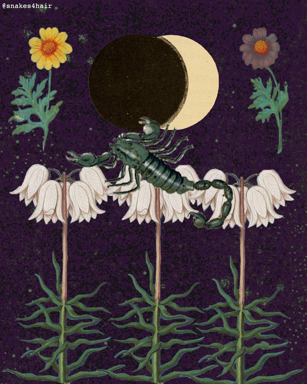 Snakes for Hair – wholesale Votive candle – "Scorpio" Zodiac Soy Ritual Candle1