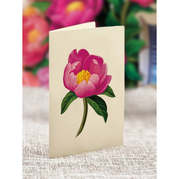 FreshCut Paper LLC - Wholesale Everyday Greeting Card - Peony Paradise (8 Pop-up Greeting Cards)