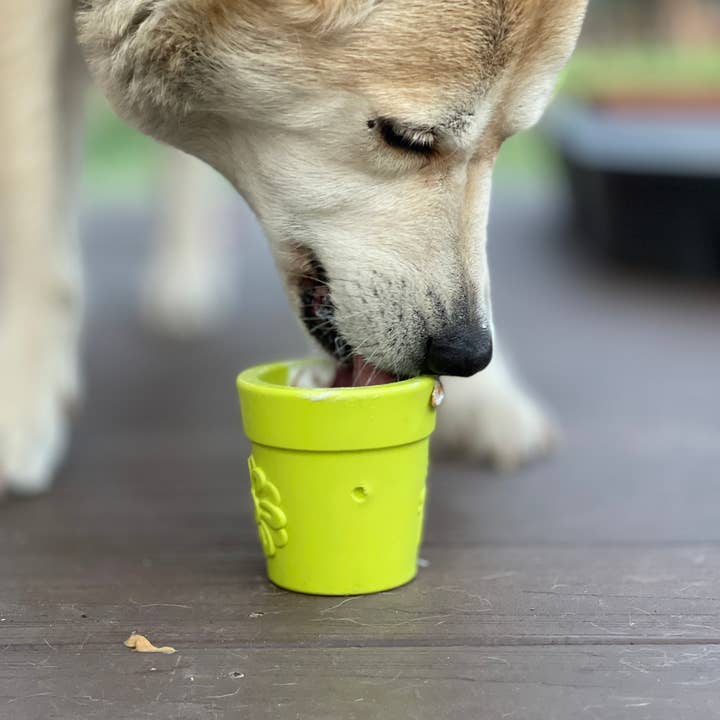 SodaPup Dog Toys – wholesale Pet treat jar – Dog – Flower Pot Durable Rubber Treat Dispenser & Enrichment3