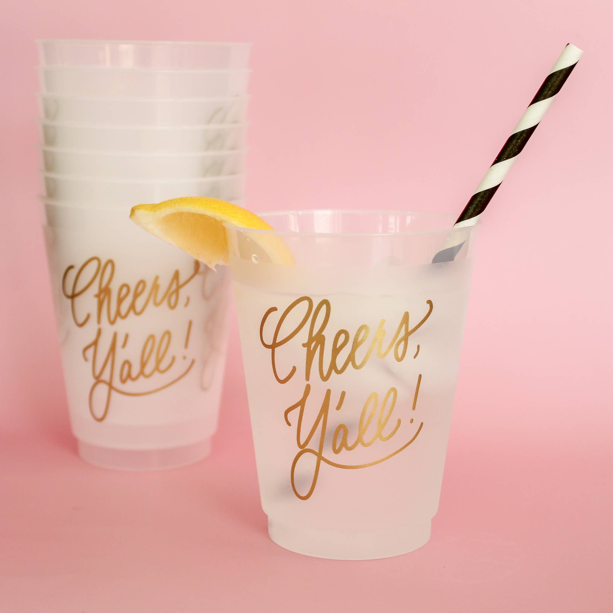 Birdie Mae Designs - Wholesale Disposable Cup - Cheers, Y'all! | Frosted Acrylic 16oz Set of 8 Cups5