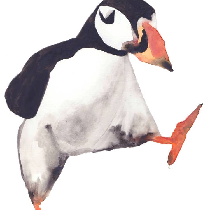 Rebecca Swan Art + Design - Wholesale Art Print - Dancing Puffin Art Print