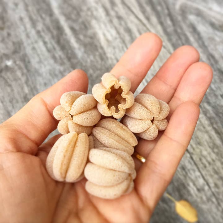 Pastificio Boulder - Wholesale Pasta - Heirloom Wheat Dry Pasta - Zucca