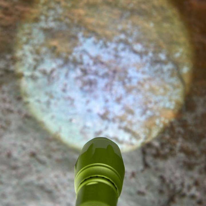 HABA USA - Wholesale Sports & Outdoor - Terra Kids 4-Way Flashlight2