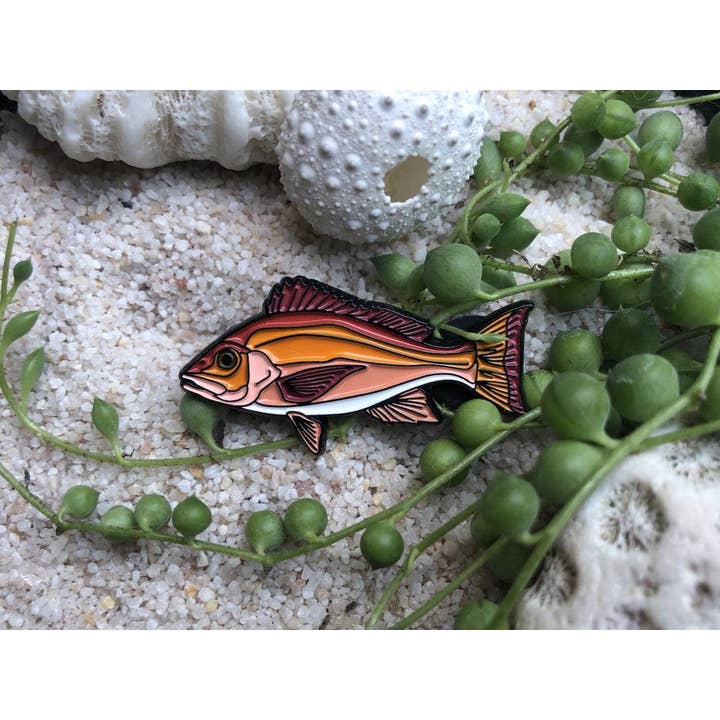 Hooked Pins - Wholesale Lapel Pin/Button - Red Snapper - Fish Pin with Gift Box3
