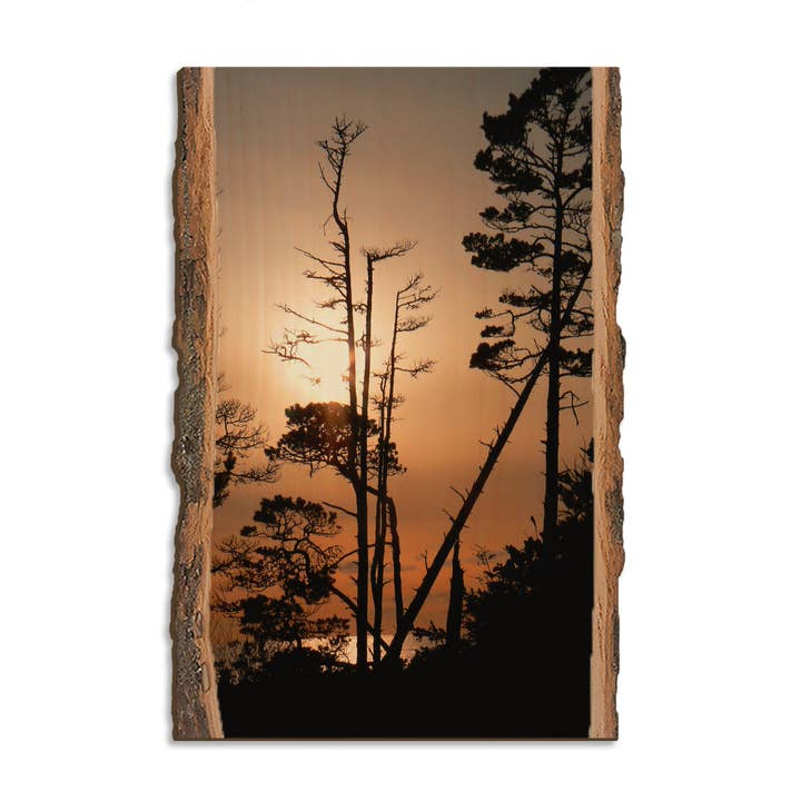 Ocean Forest - Live Edge for wholesale by DaydreamHQ