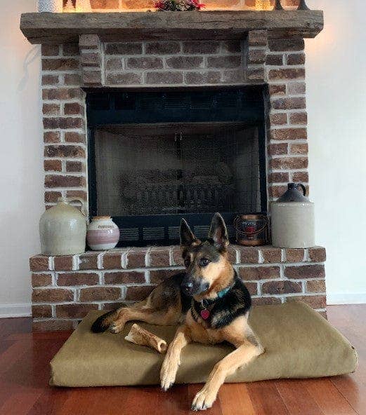 Barker Beds - Wholesale Pet Bed - Dog - 4" Orthopedic Crate Bed19