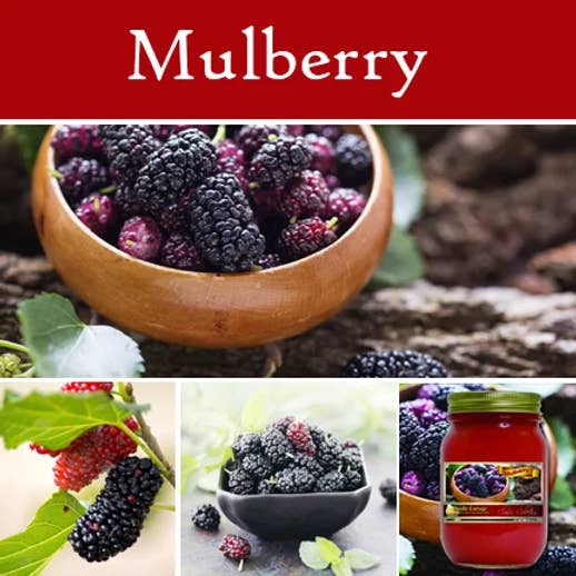 Pot de mûrier maçon pour la vente par The Candle Cottage & DUOS Dual Fragrance Candles