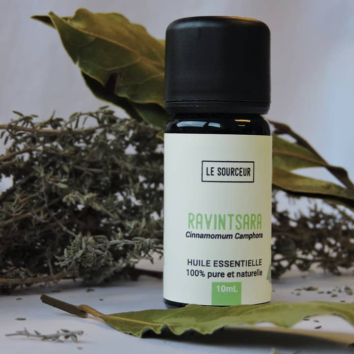 Le Sourceur - Wholesale Essential Oil - RAVINTSARA ESSENTIAL OIL1