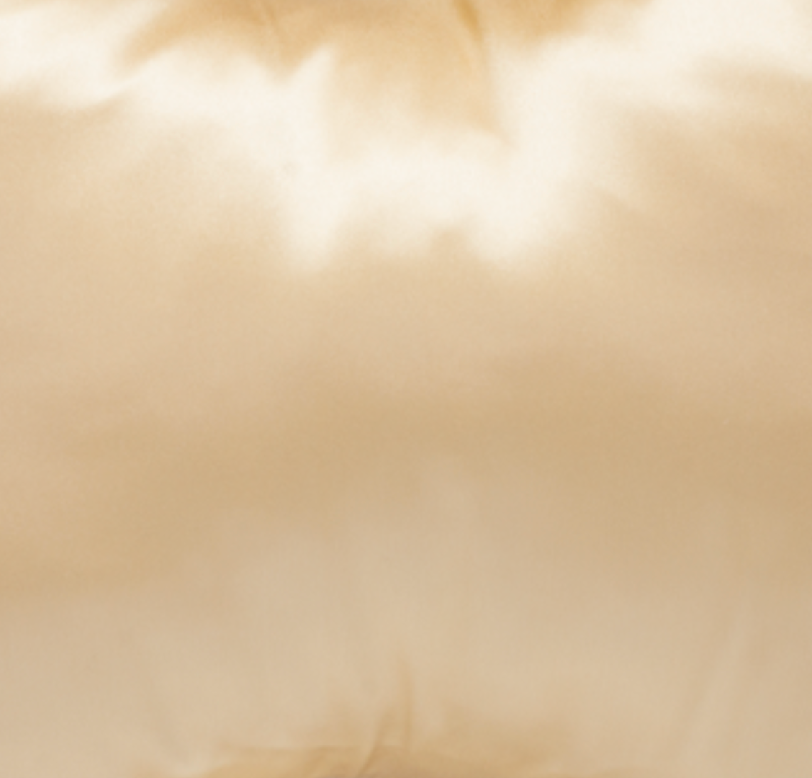 "Save My Face!" ® Pillow - Vente Oreillers - Le Grand Oreiller en Soie16