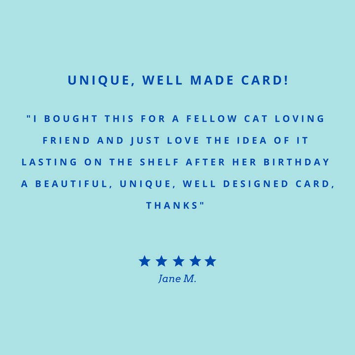 The Pop Out Card Company - Wholesale Everyday Greeting Card - Pop Out Black & White Cat Greeting Card