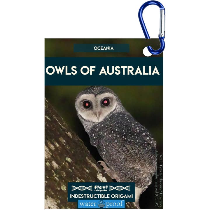 Eulen Australiens-Unzerstörbares Origami für den Großhandel von Flexi Field Guides