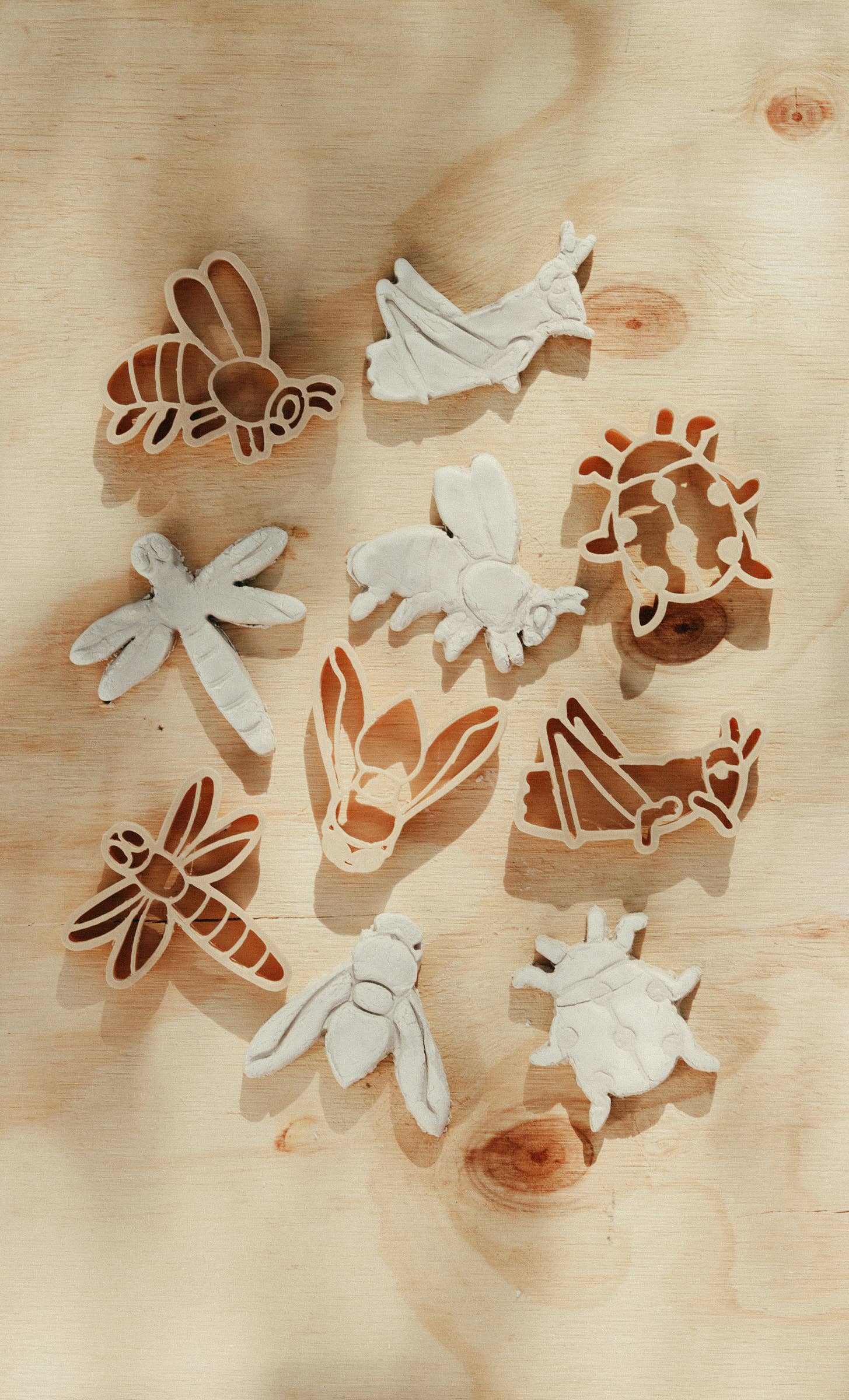 Kinfolk Pantry - Wholesale Toy Set - Kids - Insect Cutter Set - Eco Playdough Tool2