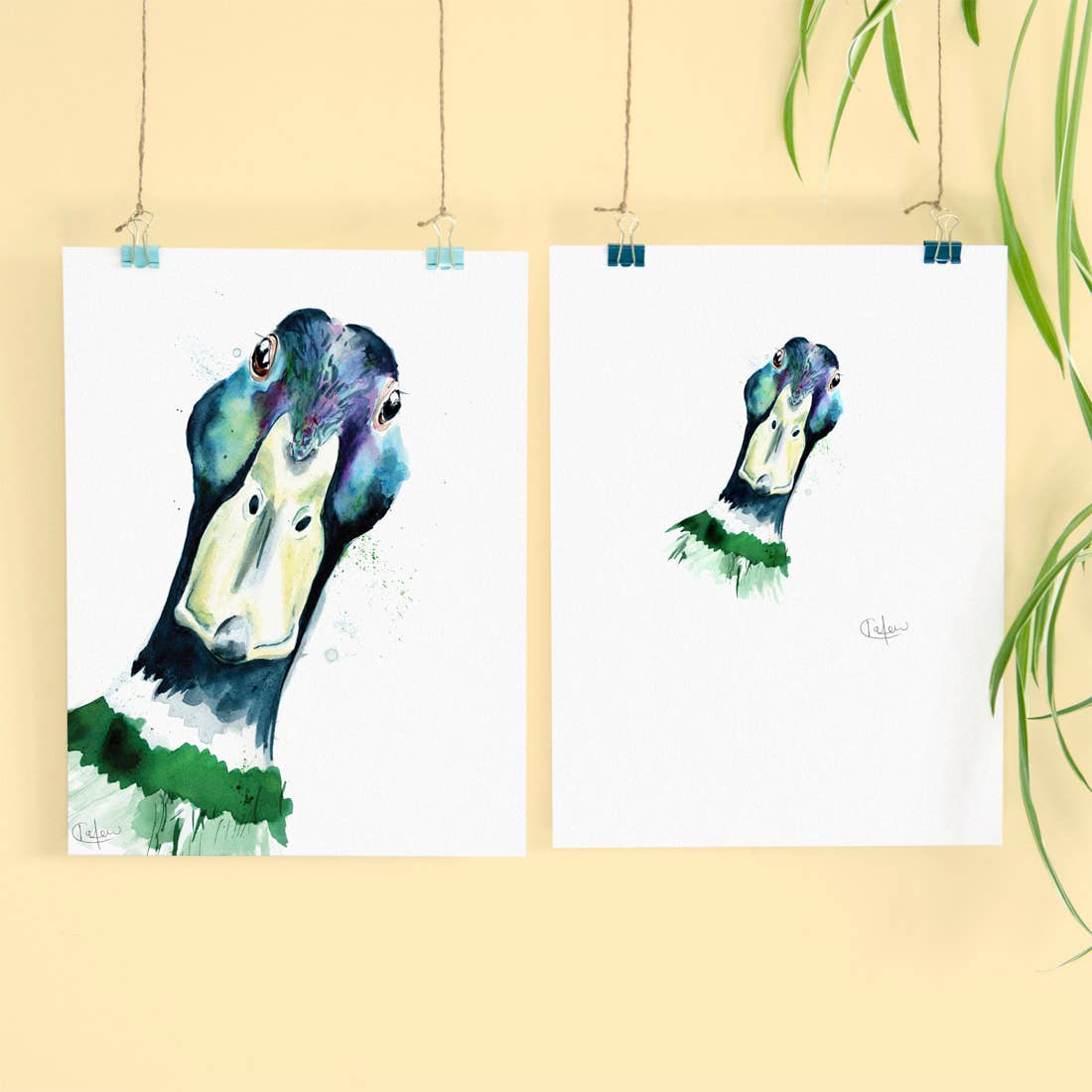 Kate Moby - Wholesale Art Print - Inky Mallard Luxury Giclee Unframed Print1