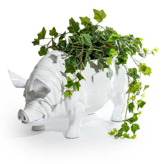 Extra Large Bright White Pig Planter for wholesale by McGowan & Rutherford Ltd