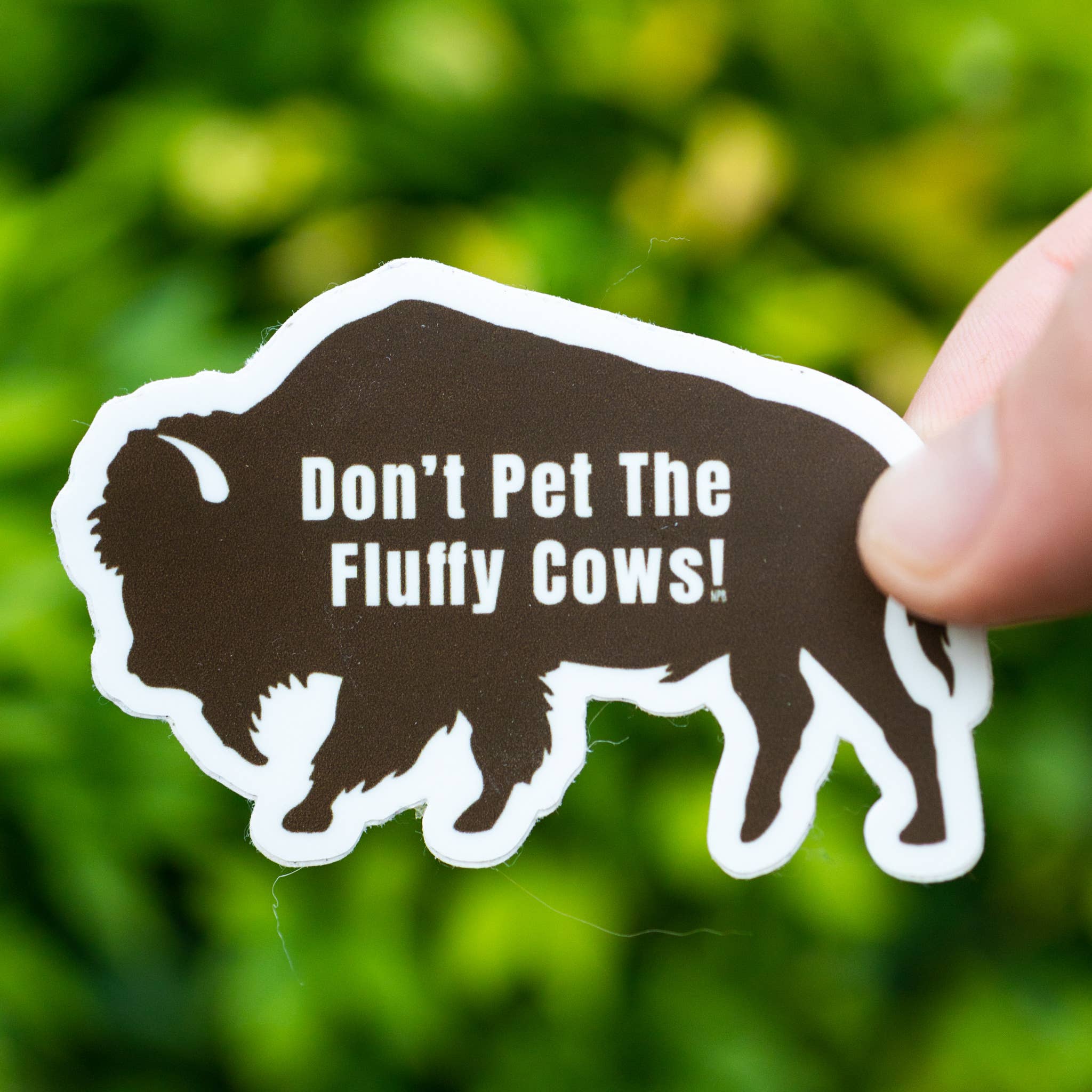 National Parks and Beyond - Wholesale Sticker - Don't Pet The Fluffy Cows Bison Vinyl Sticker2