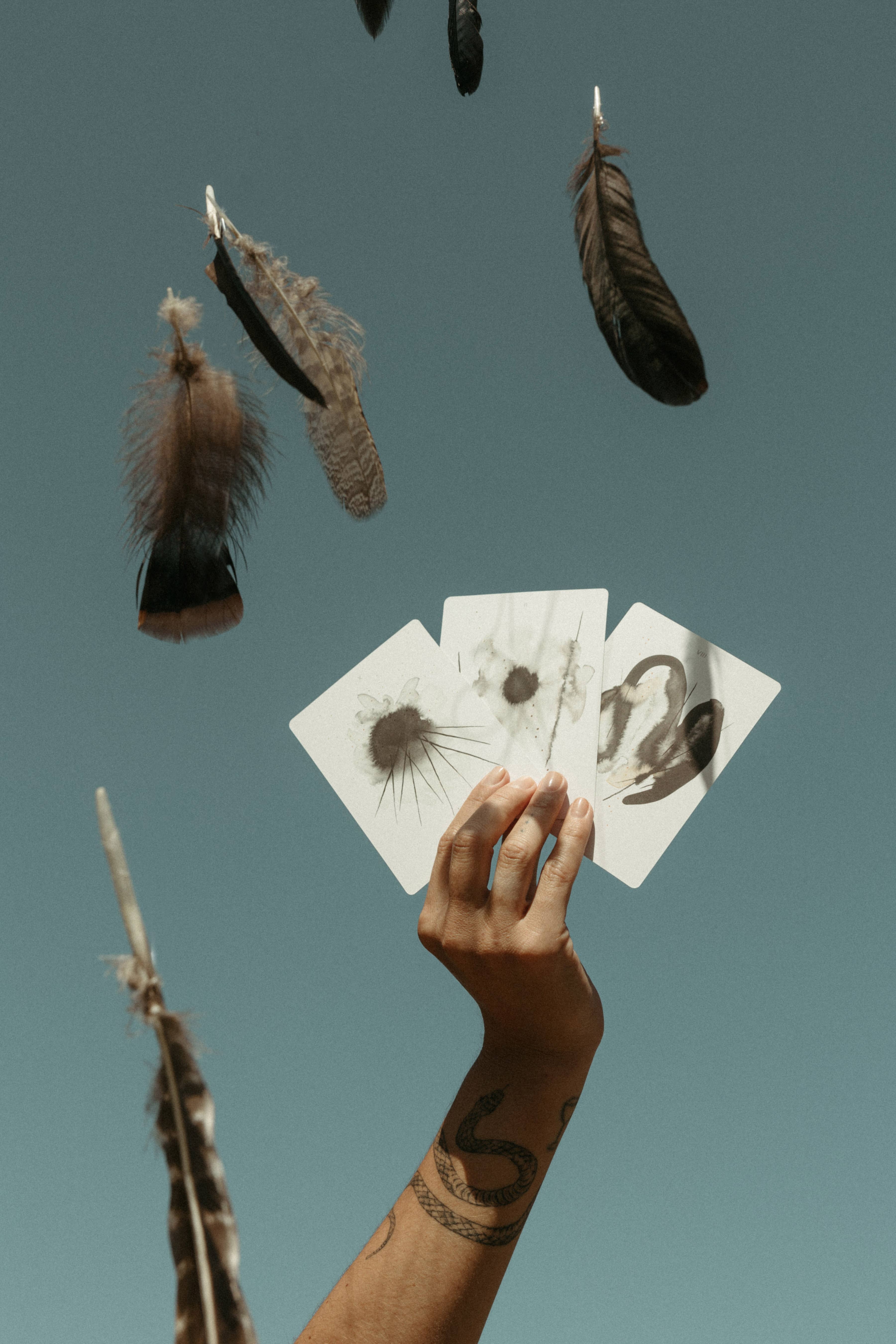 Depths Tarot – Cartas de tarô por atacado – The Deck - Edição 14