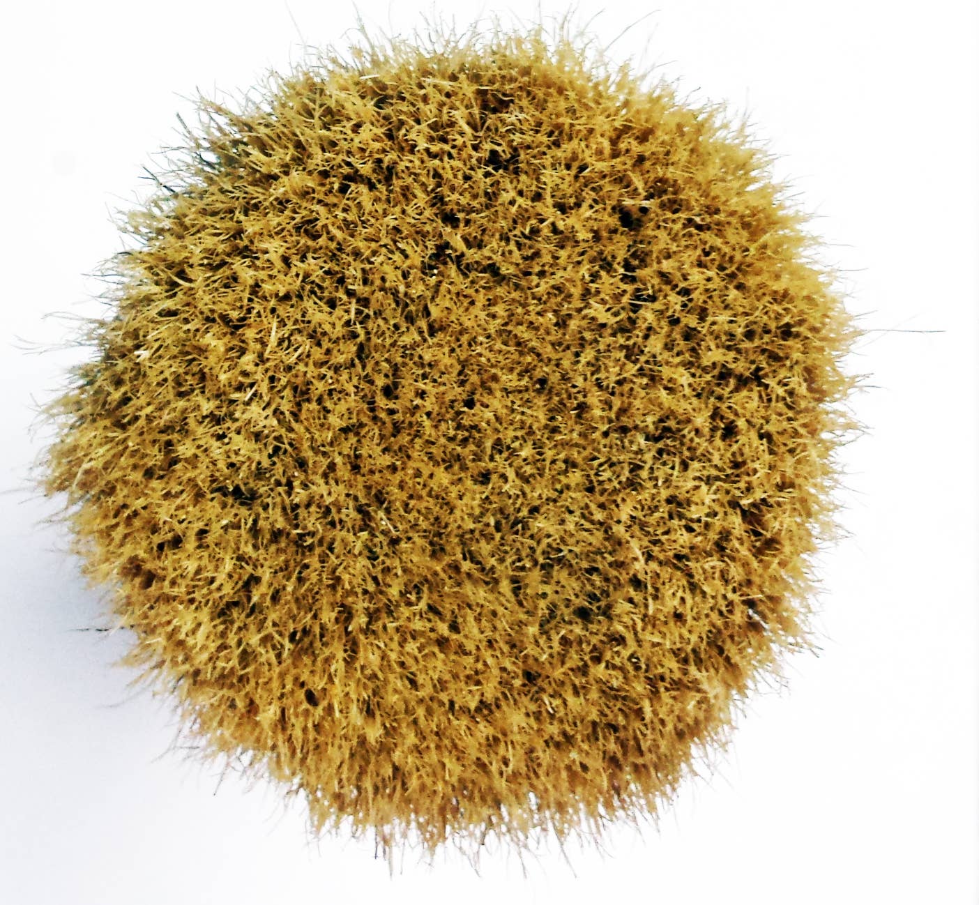 Chalk Mountain Furniture Paint - Wholesale Paint/Wax Brush - Large Round Wax & Paint Stencil Brush Durable USA Quality 2