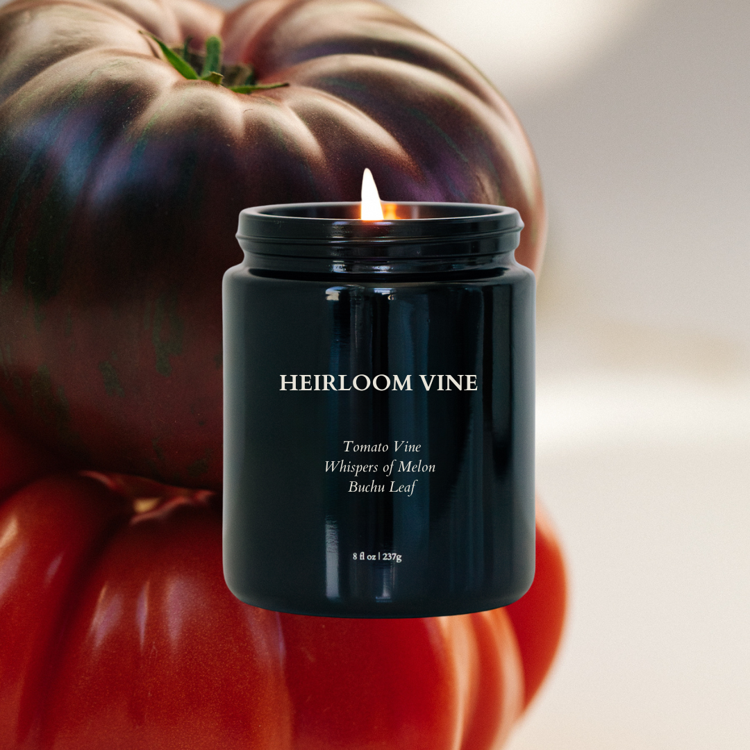 ONYX + PETAL - Wholesale Jar/Filled Candle - Heirloom Vine  - Non-Toxic Candle2