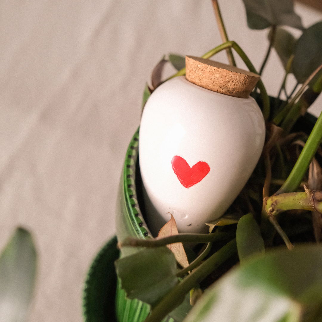 Pepin - Vente Pot - Olla - Cœur1
