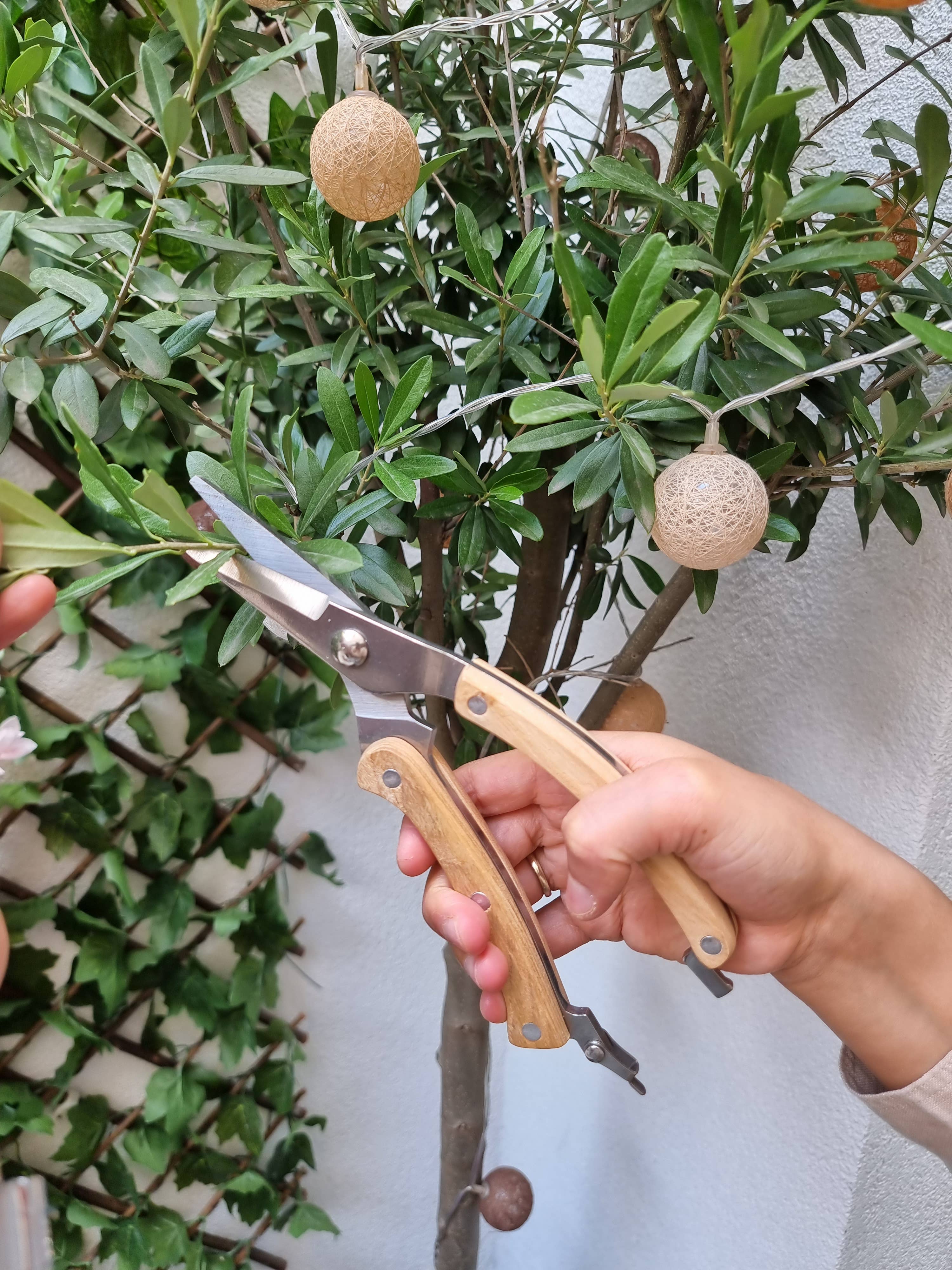 Botang - Vente Outil de jardinage - Sécateurs métalliques avec poignée en bois Botang1