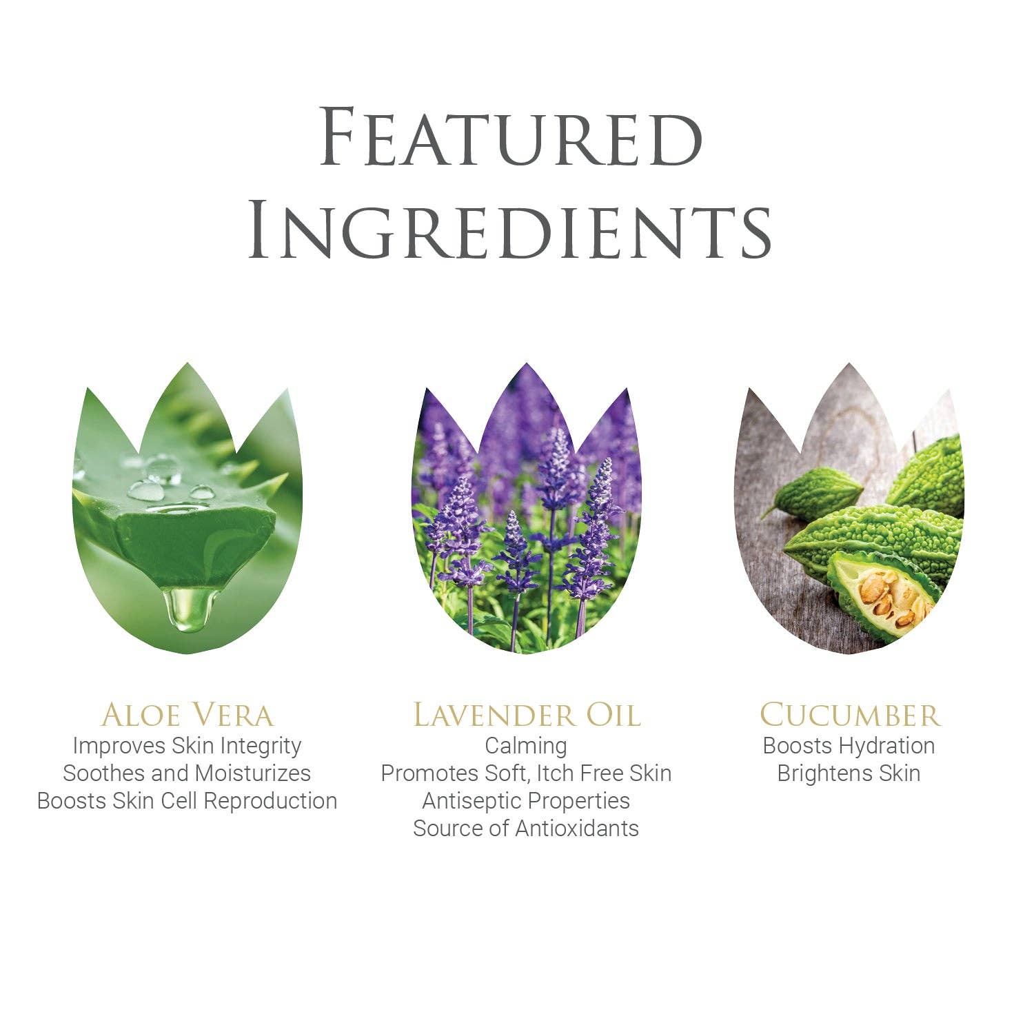 byDr.Poucher - Wholesale Face & Body Wipes - Wonderful Wipes, Feminine Wipes, OBGYN Developed 4