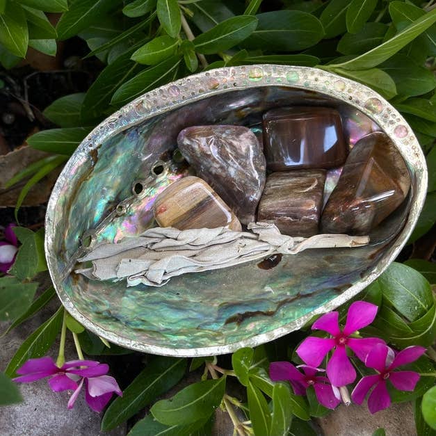 Bodhi Leaf Market - Wholesale Spiritual Stone/Crystal - Fossilized Wood, Polished Fossilized Wood, Crystal Magic