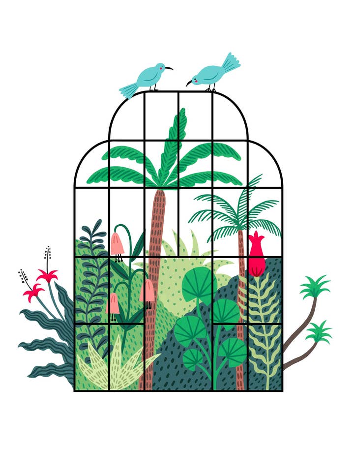 Tropisk drivhus print (A3) for engroshandel hos Holly Maguire