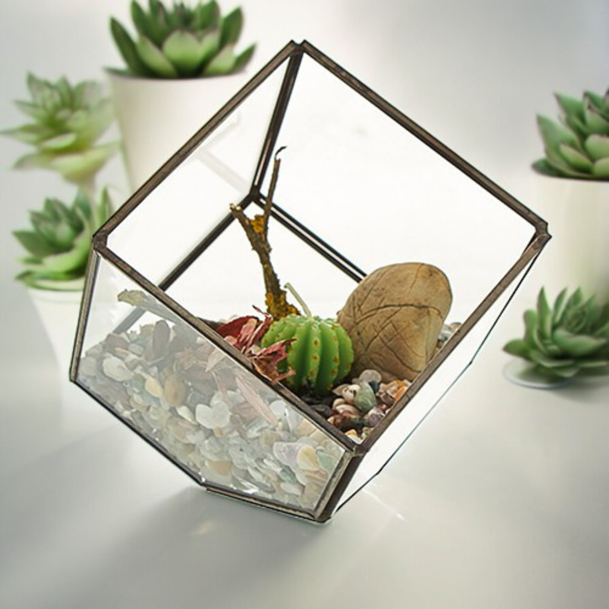 AW Artisan – wholesale Terrarium – Glas terrarier - kub i hörnet0