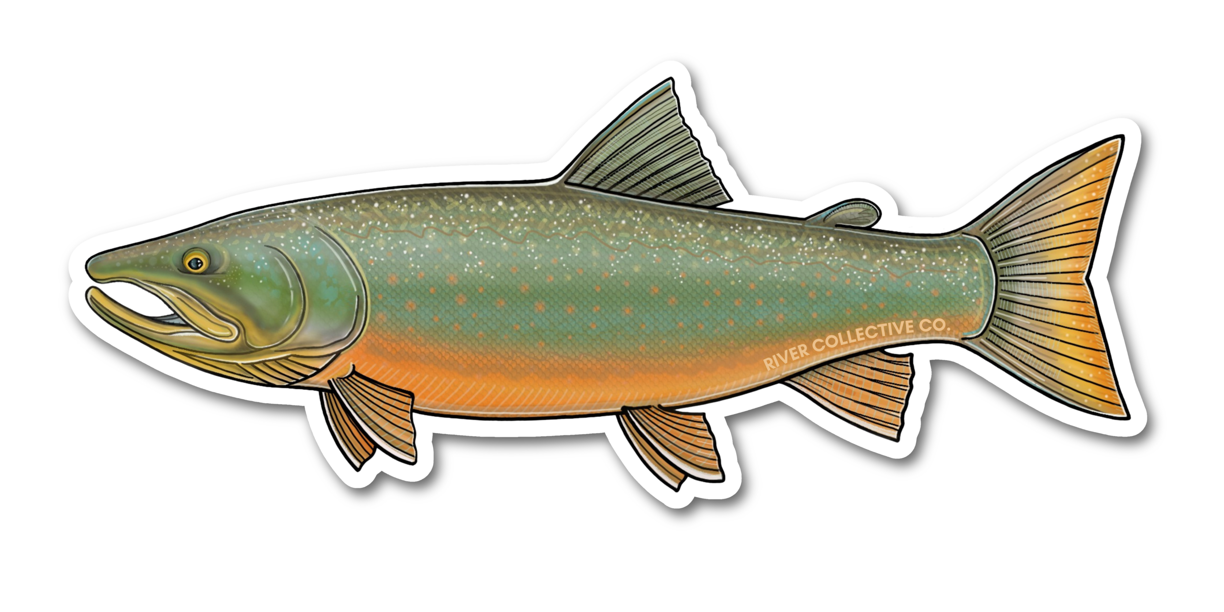 REMOVED BRAND - Wholesale Sticker - BULL TROUT DECAL0