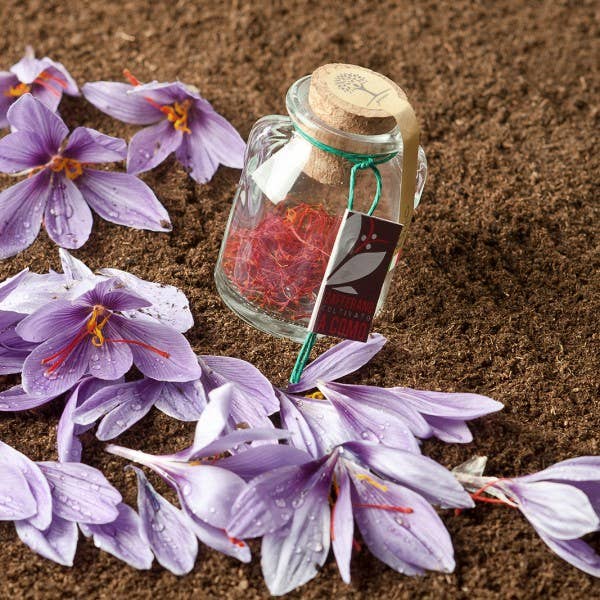 Zafferano Collina d’Oro - Wholesale Dried Spice - Zafferano Pistilli Collina D'Oro Italian-Como-HIGH QUALITY1