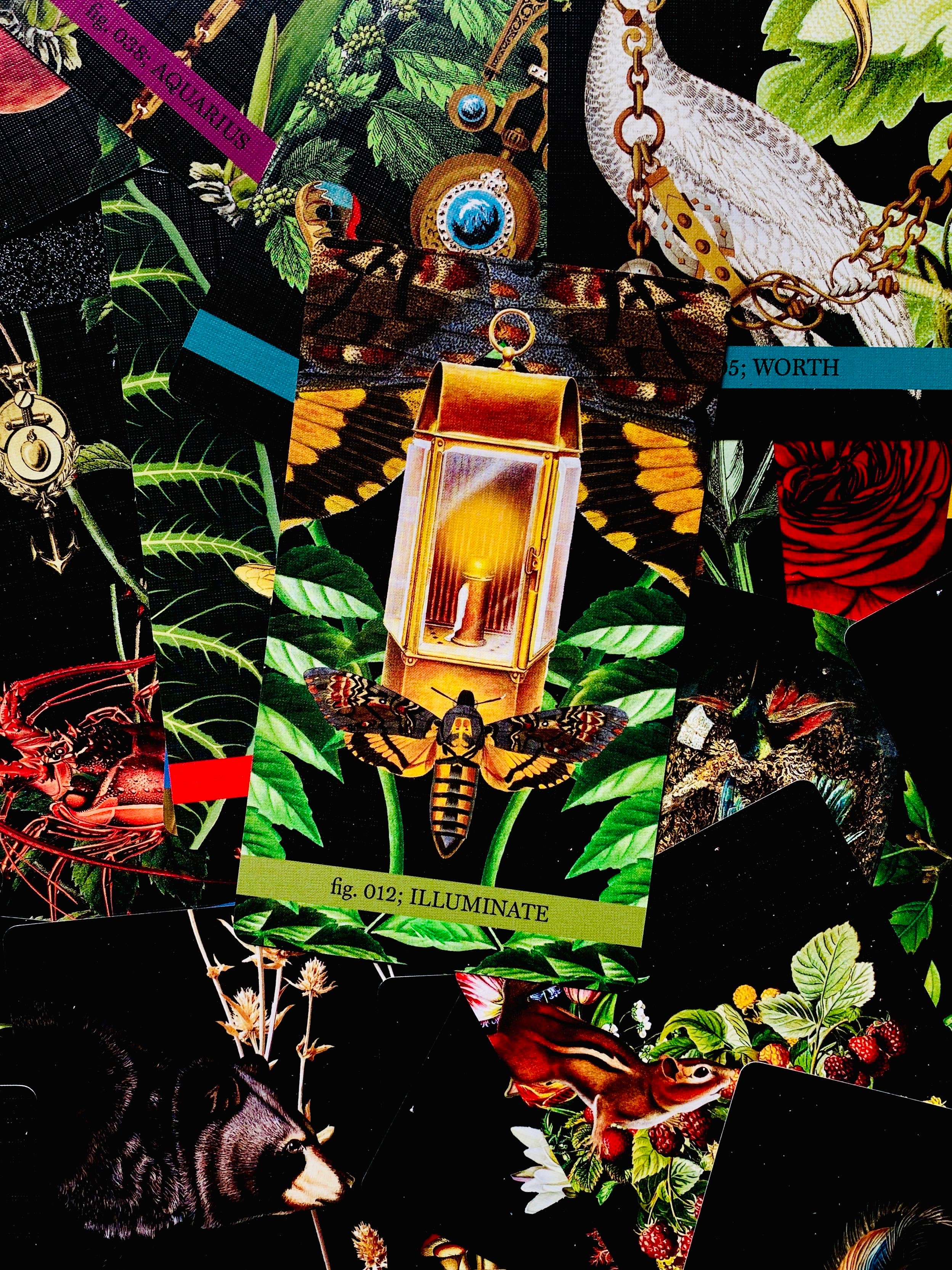 Cosmic Butcher - Wholesale Tarot Cards - "Eternal Gardens" Oracle & Lenormand Deck | Botanical Tarot16